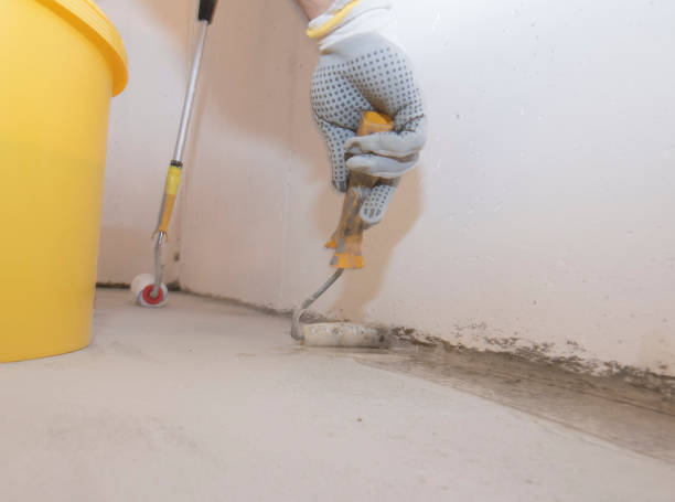 Best Fumigation Services  in Hollis, OK